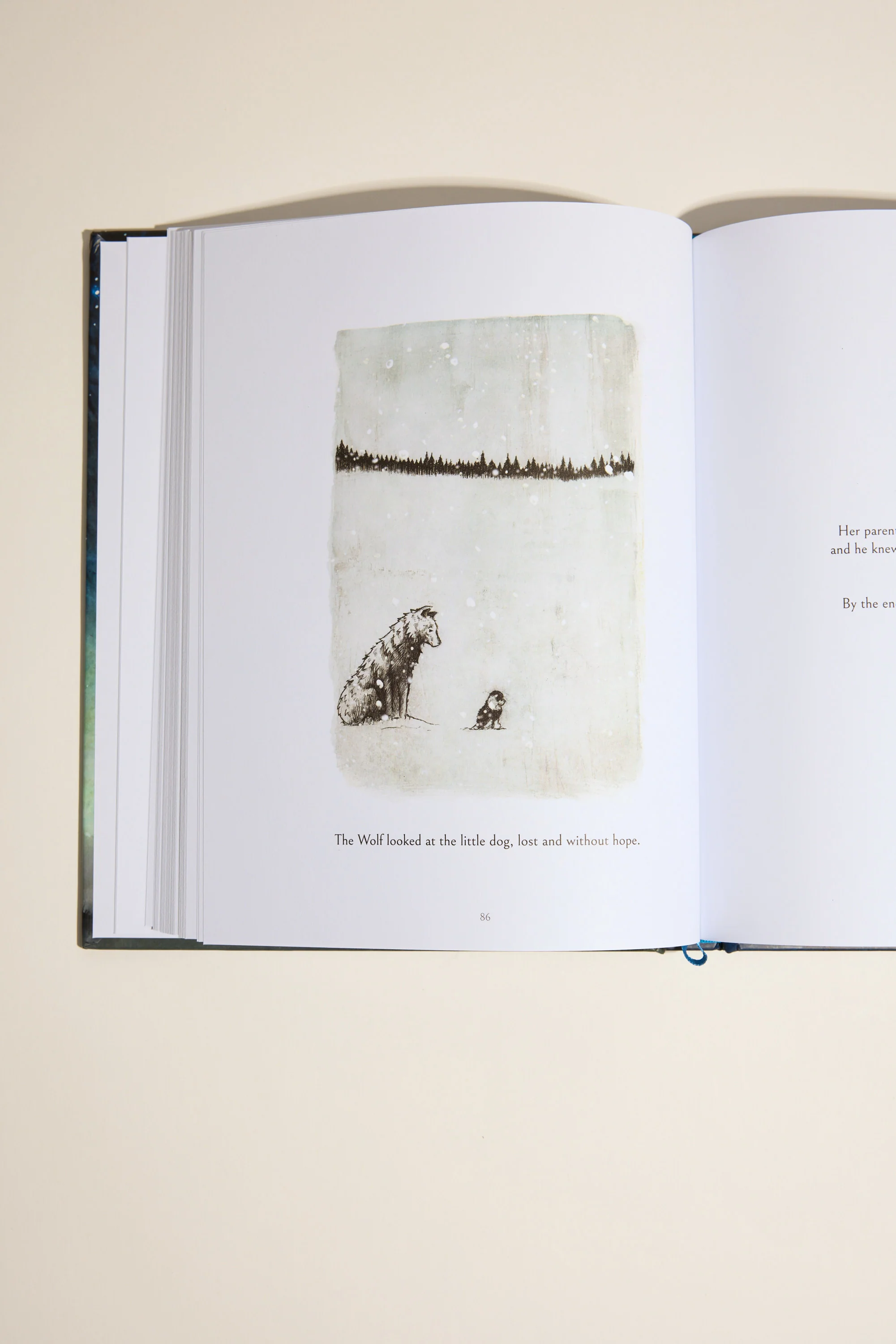 Following The Moon Book - Image 2