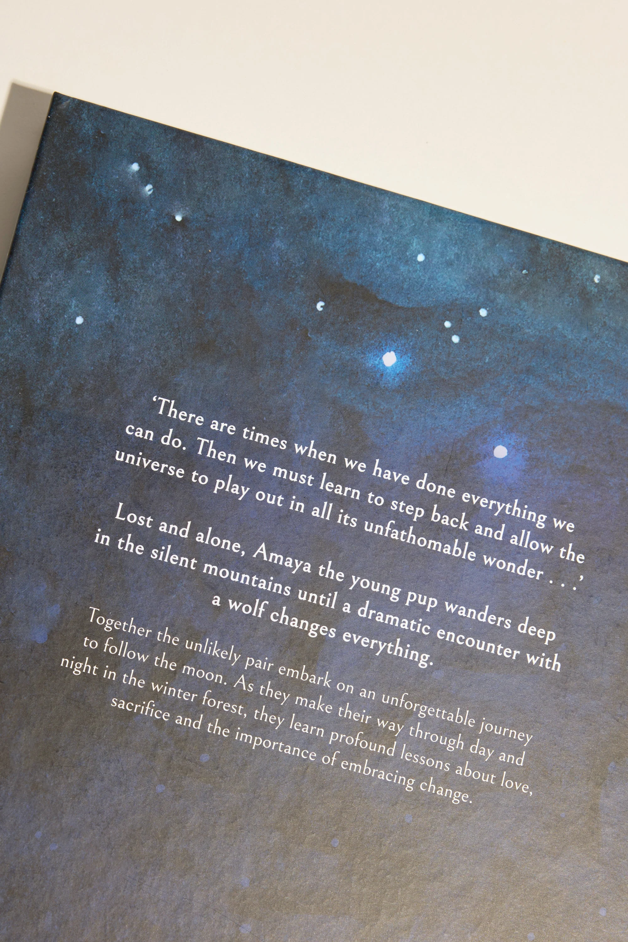 Following The Moon Book - Image 3