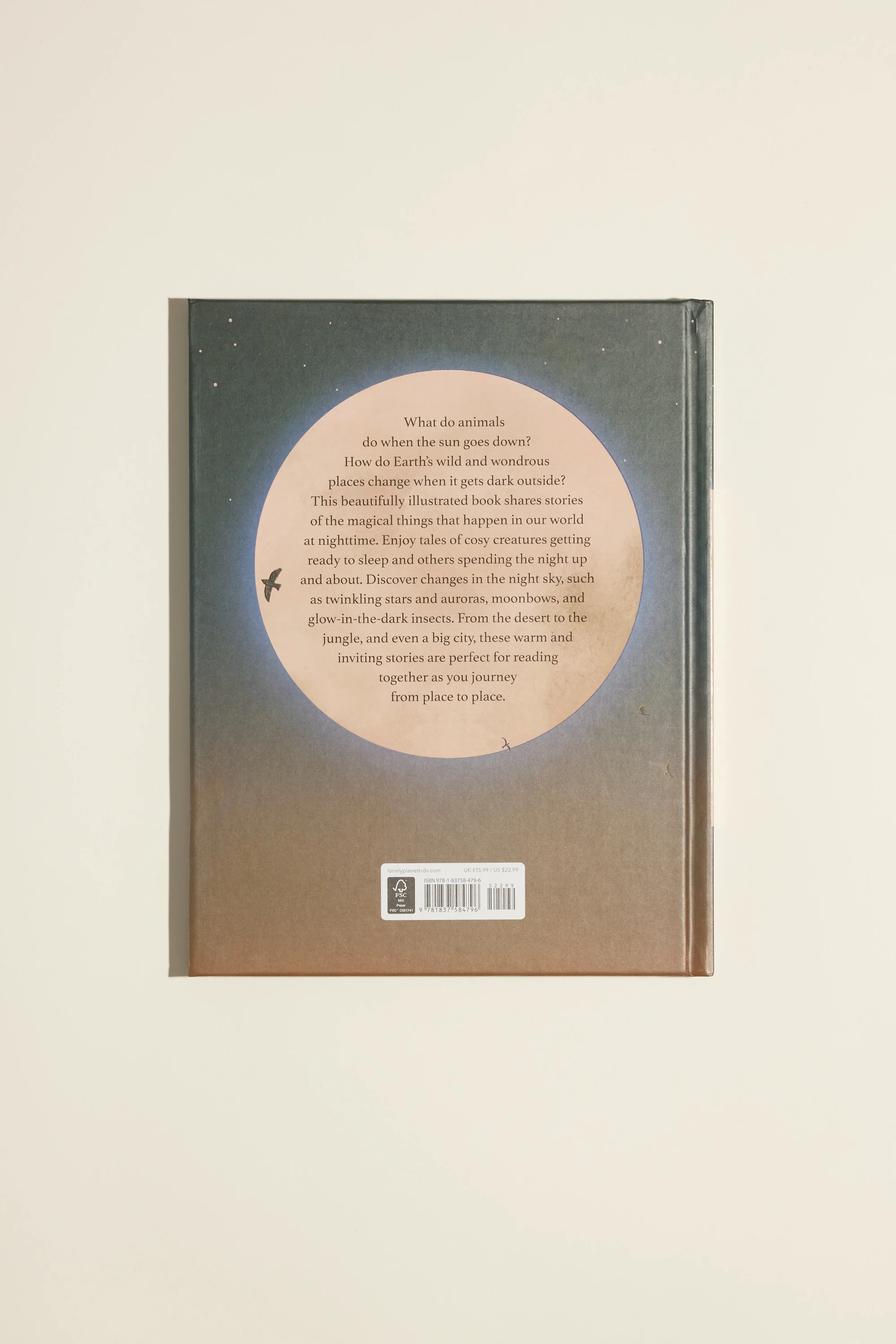 Lonely Planet Good Night Earth Book - Image 3
