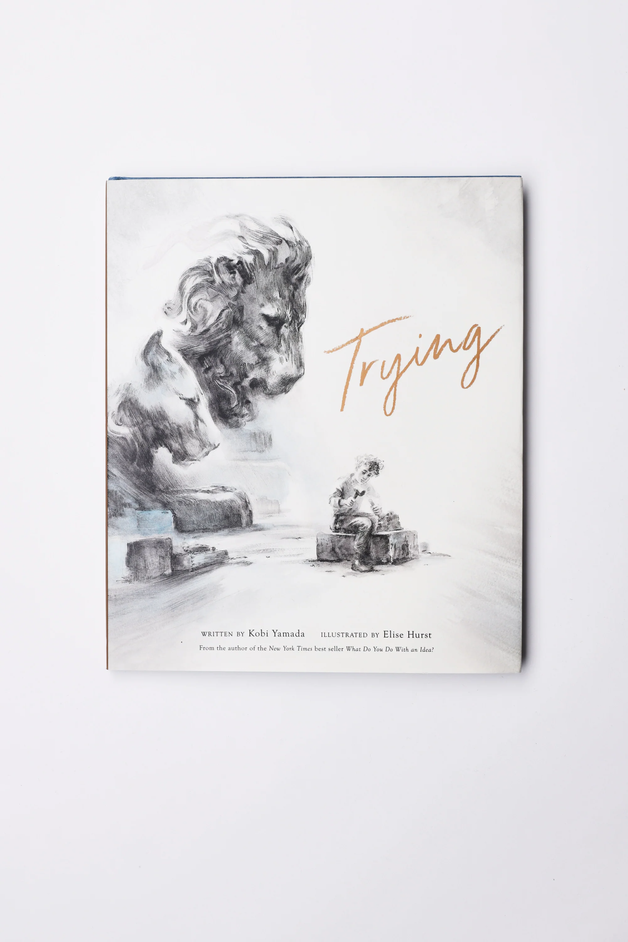 Trying Book