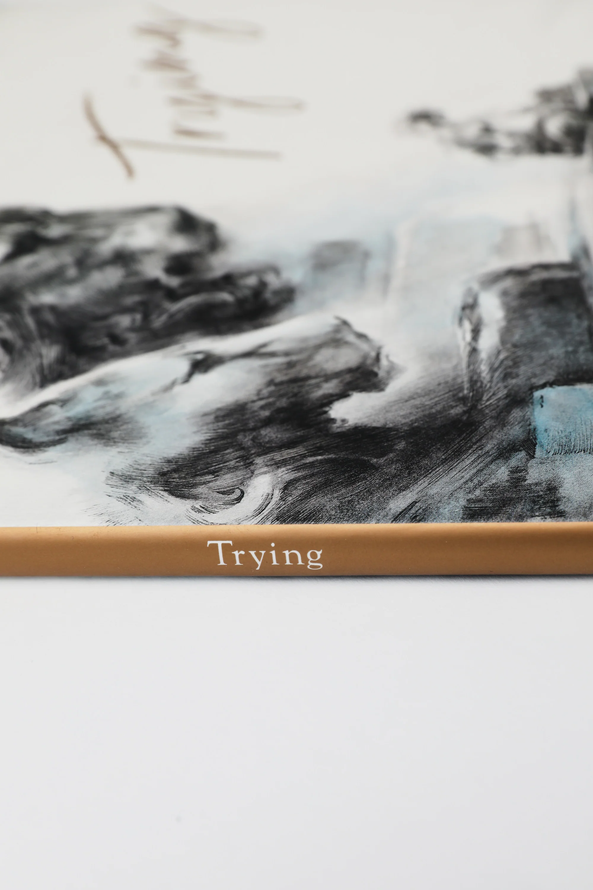 Trying Book - Image 6