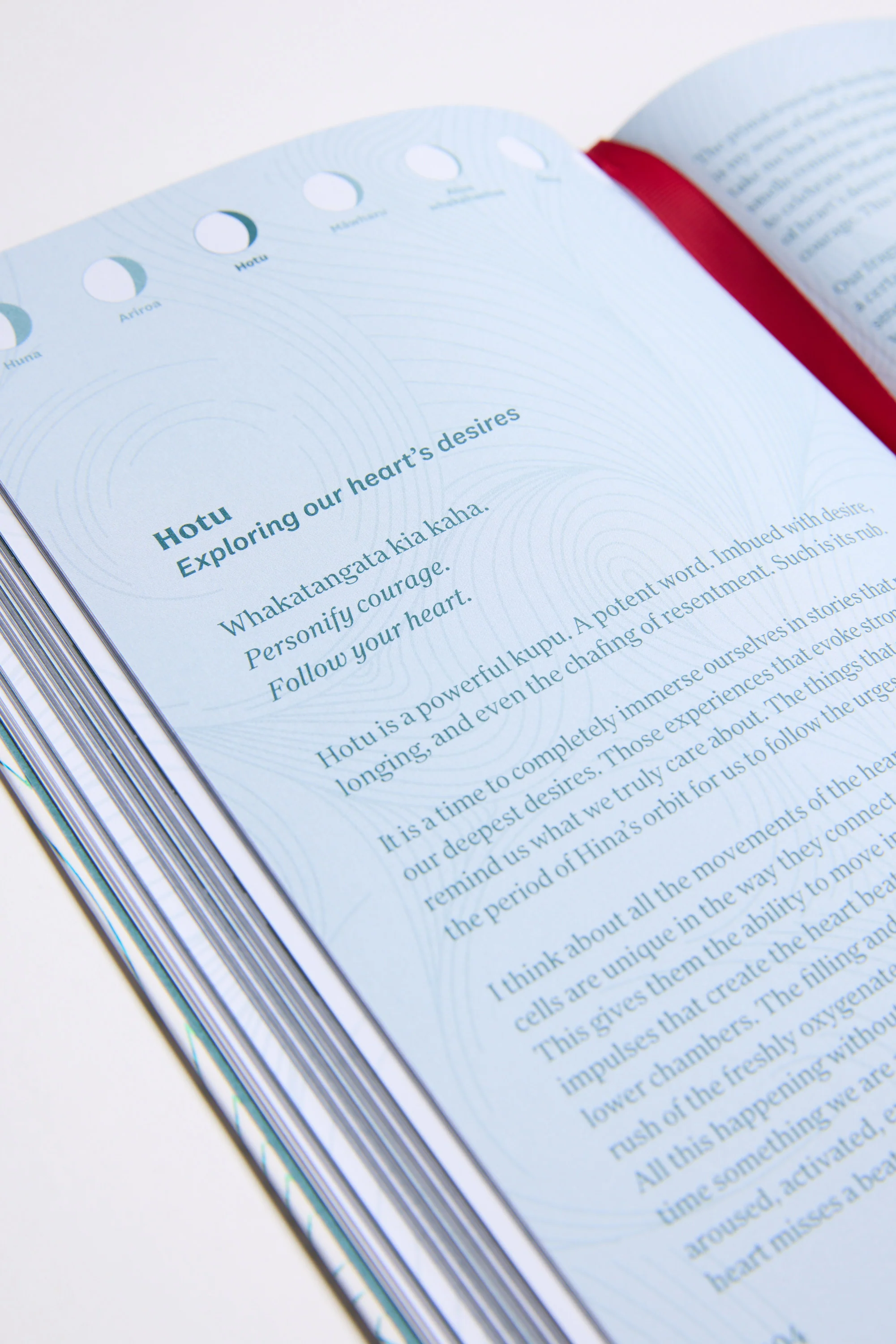 Waitohu Book - Image 5