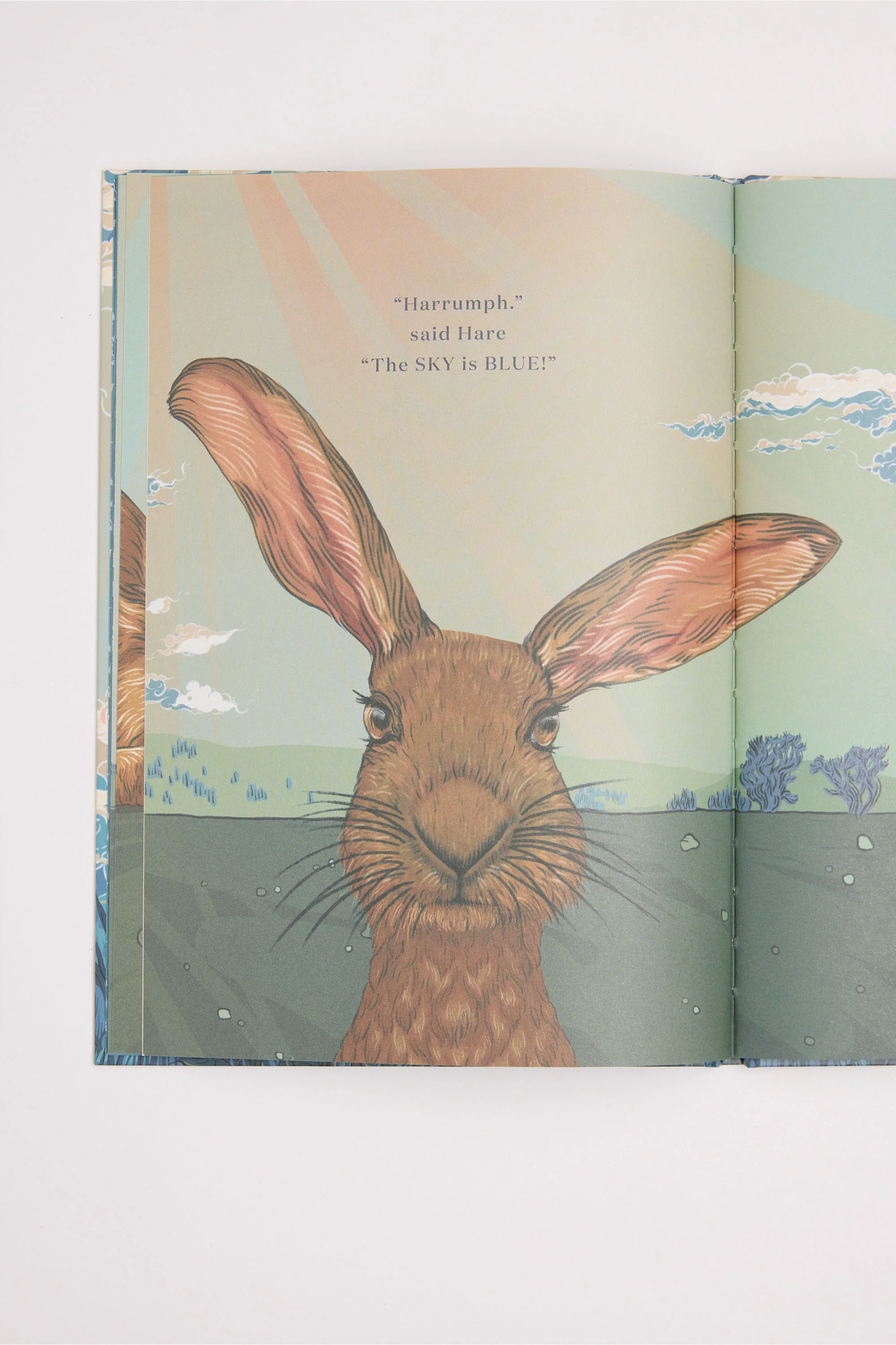 What Colour is the Sky Book - Image 2