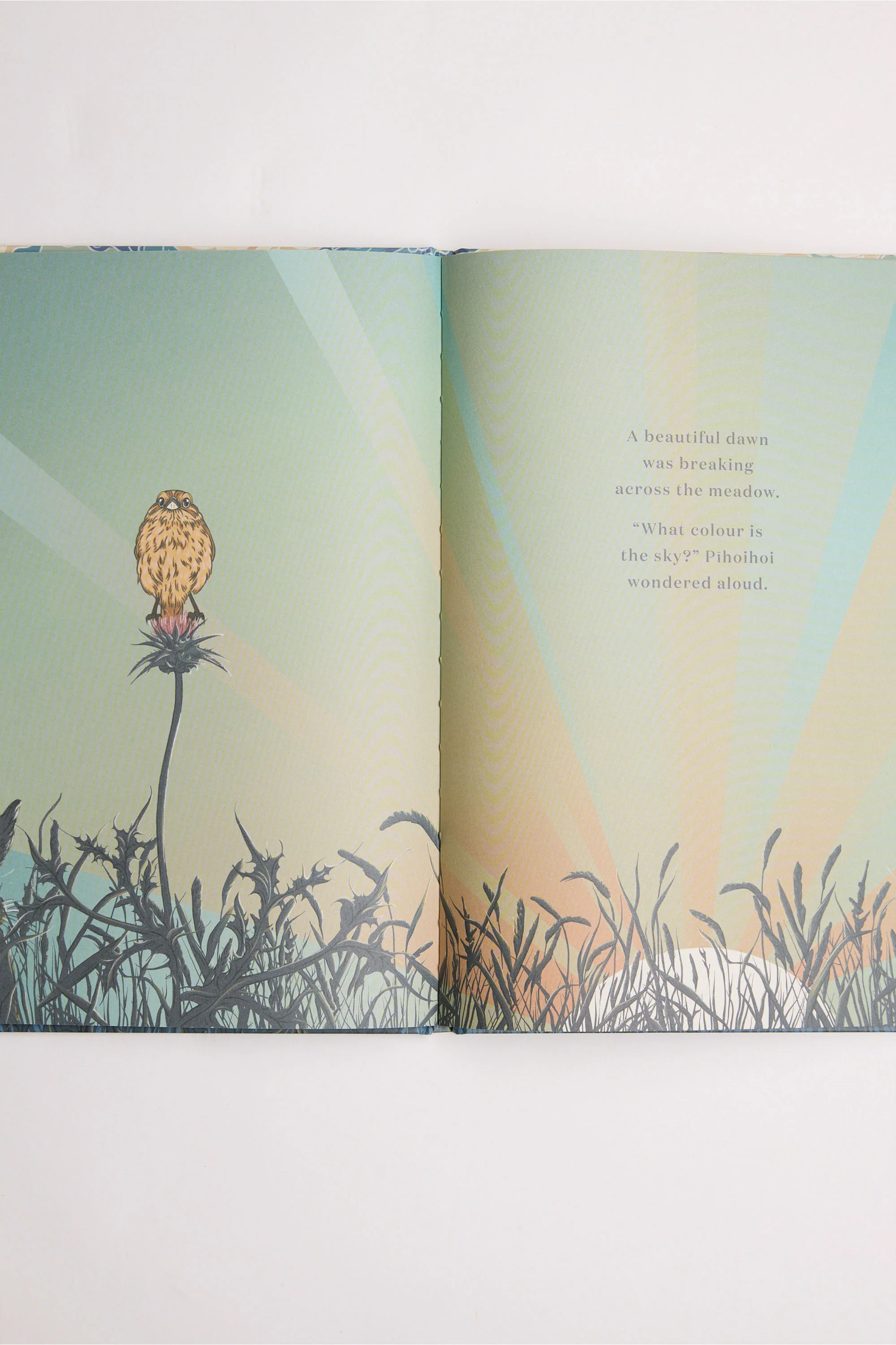 What Colour is the Sky Book - Image 3