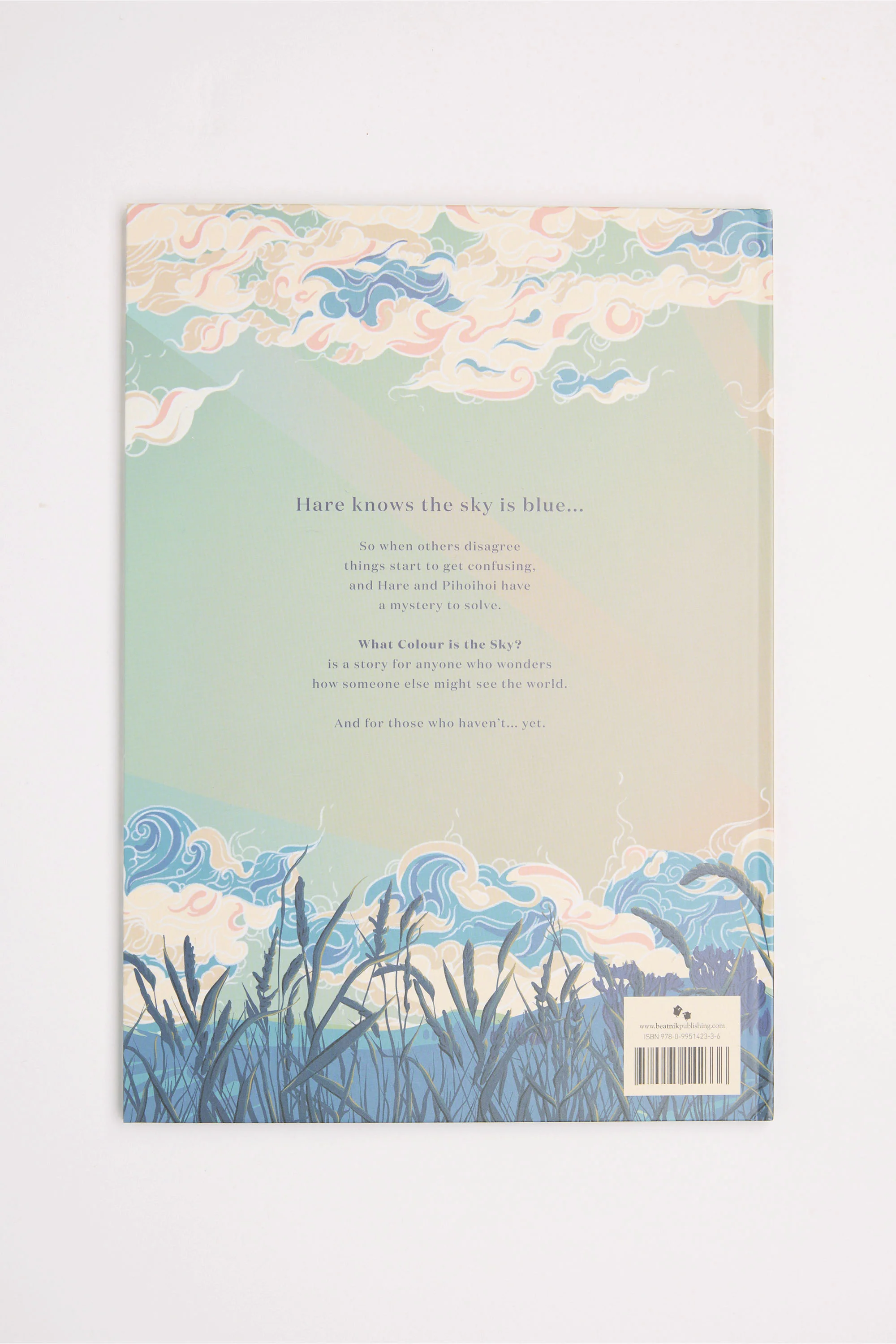 What Colour is the Sky Book - Image 4
