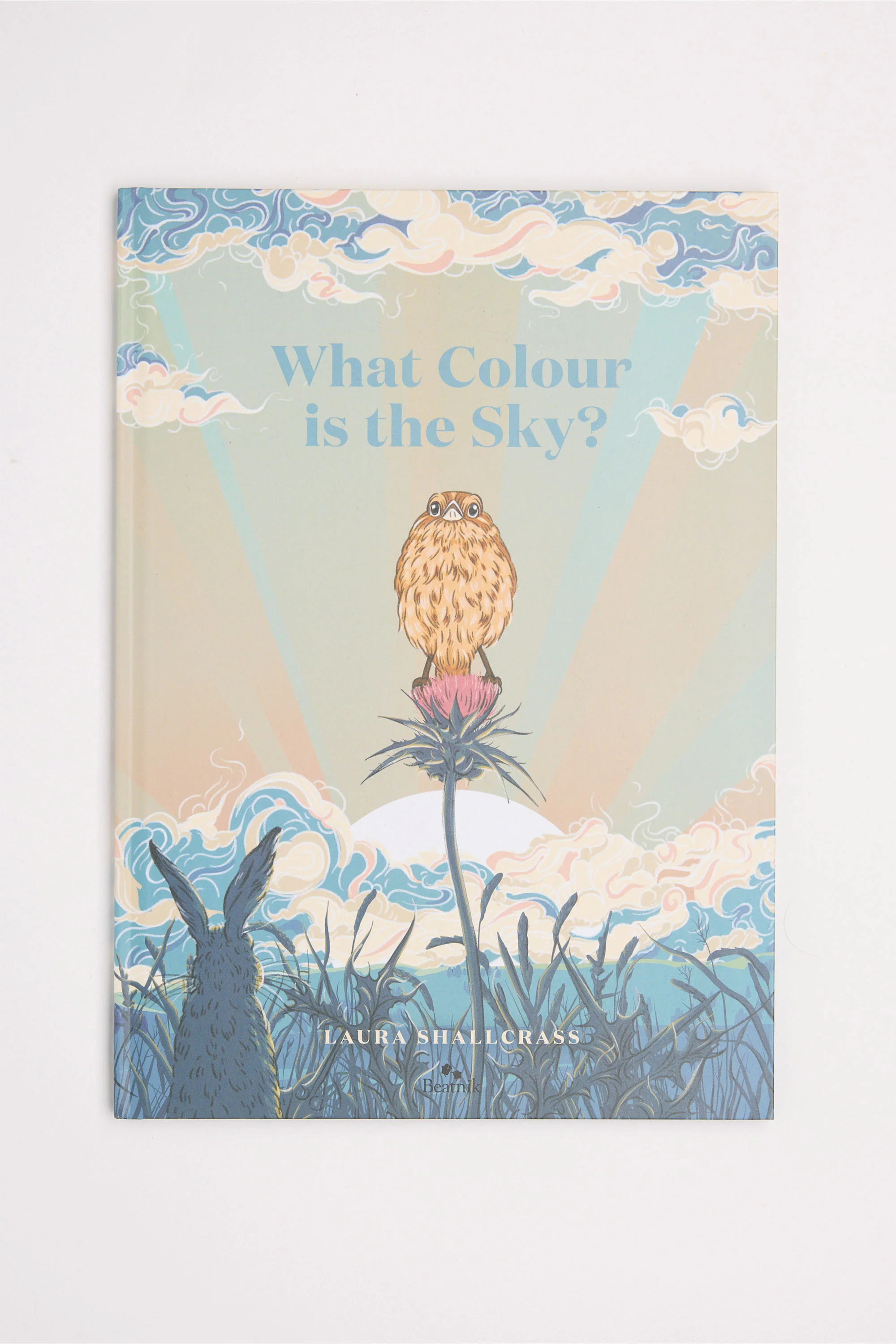 What Colour is the Sky Book - Image 5