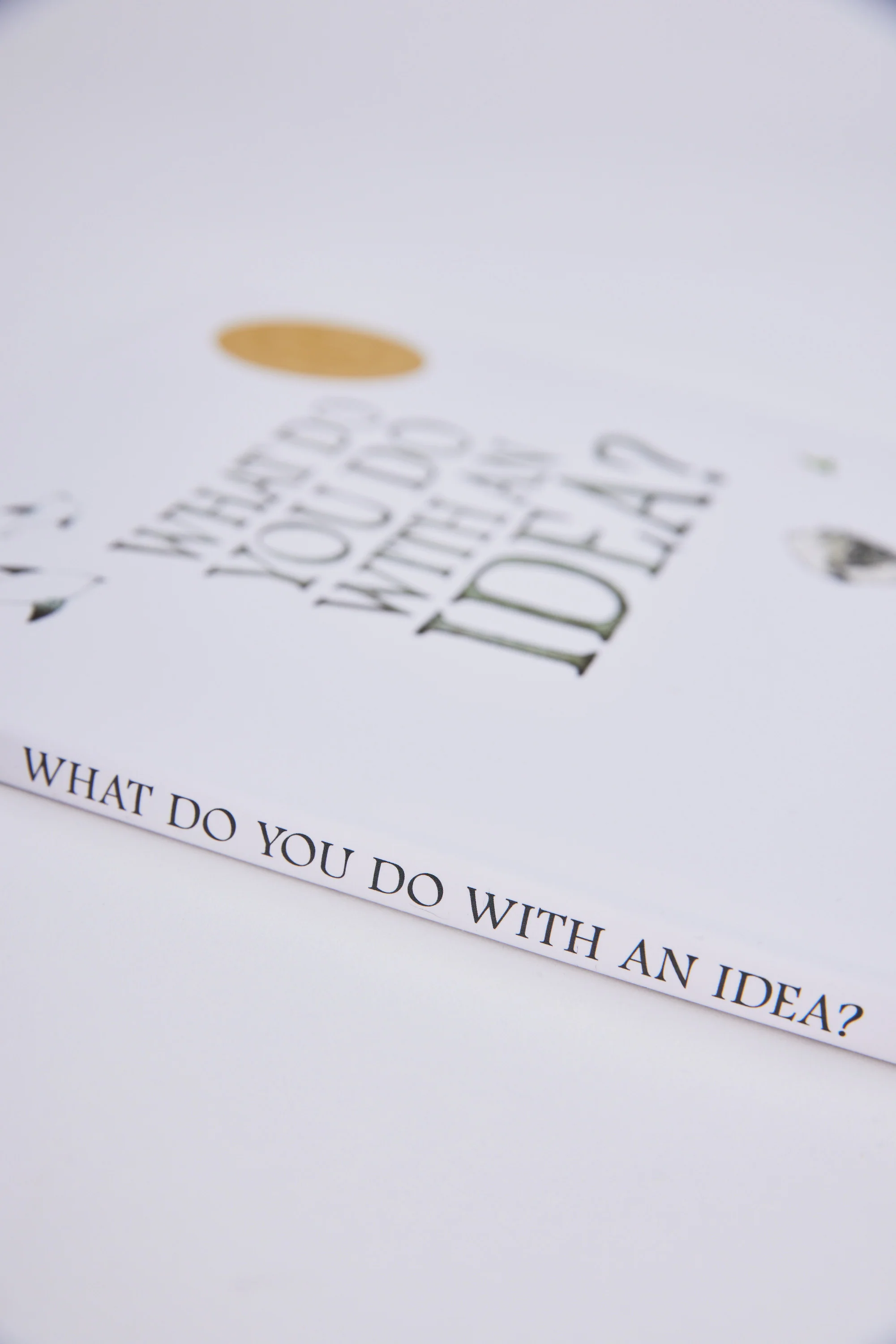 What Do You Do With an Idea Book - Image 2