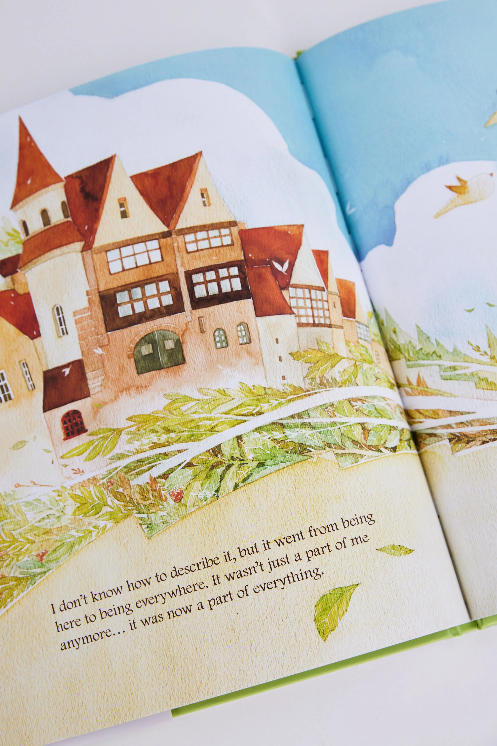 What Do You Do With an Idea Book - Image 3