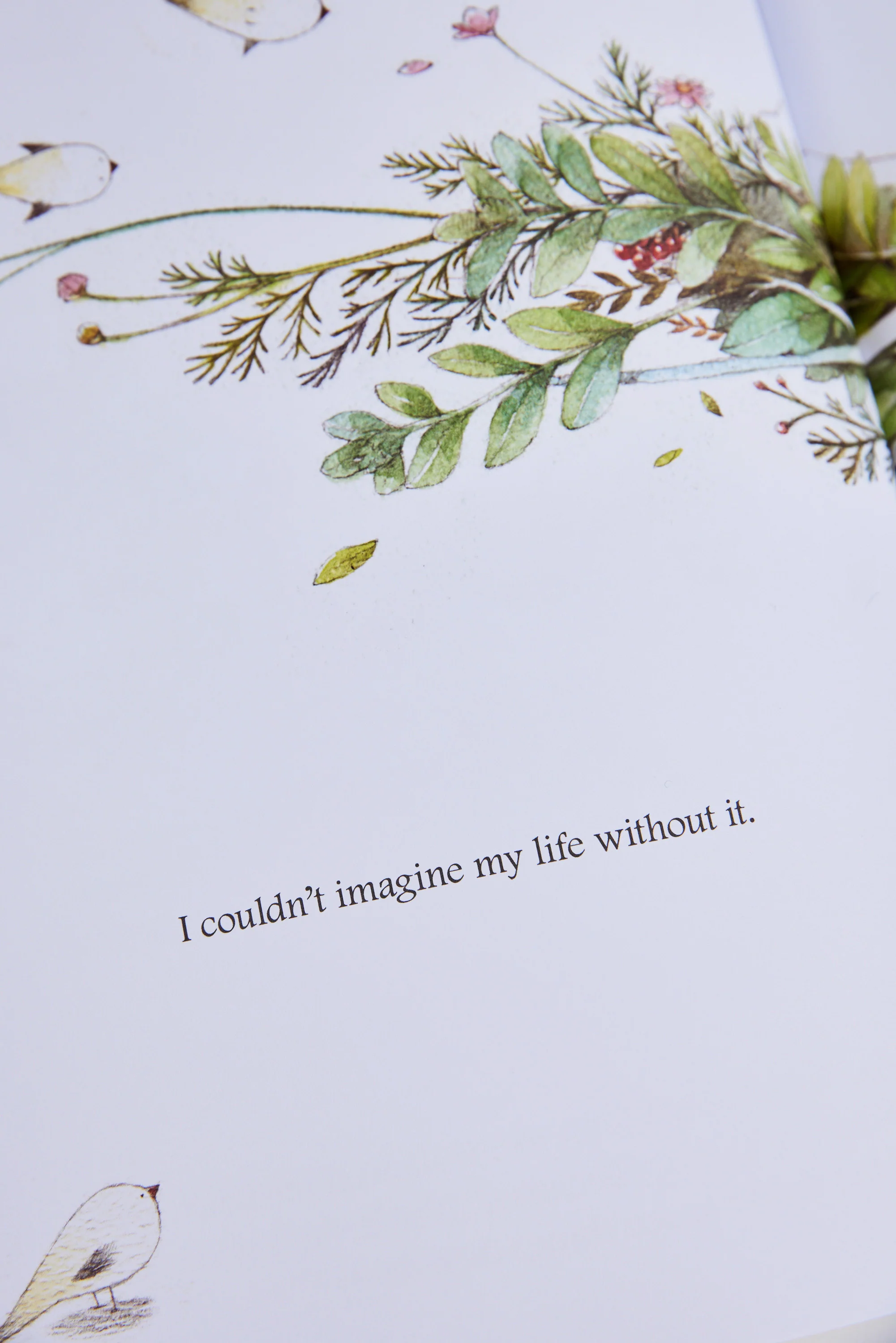 What Do You Do With an Idea Book - Image 5