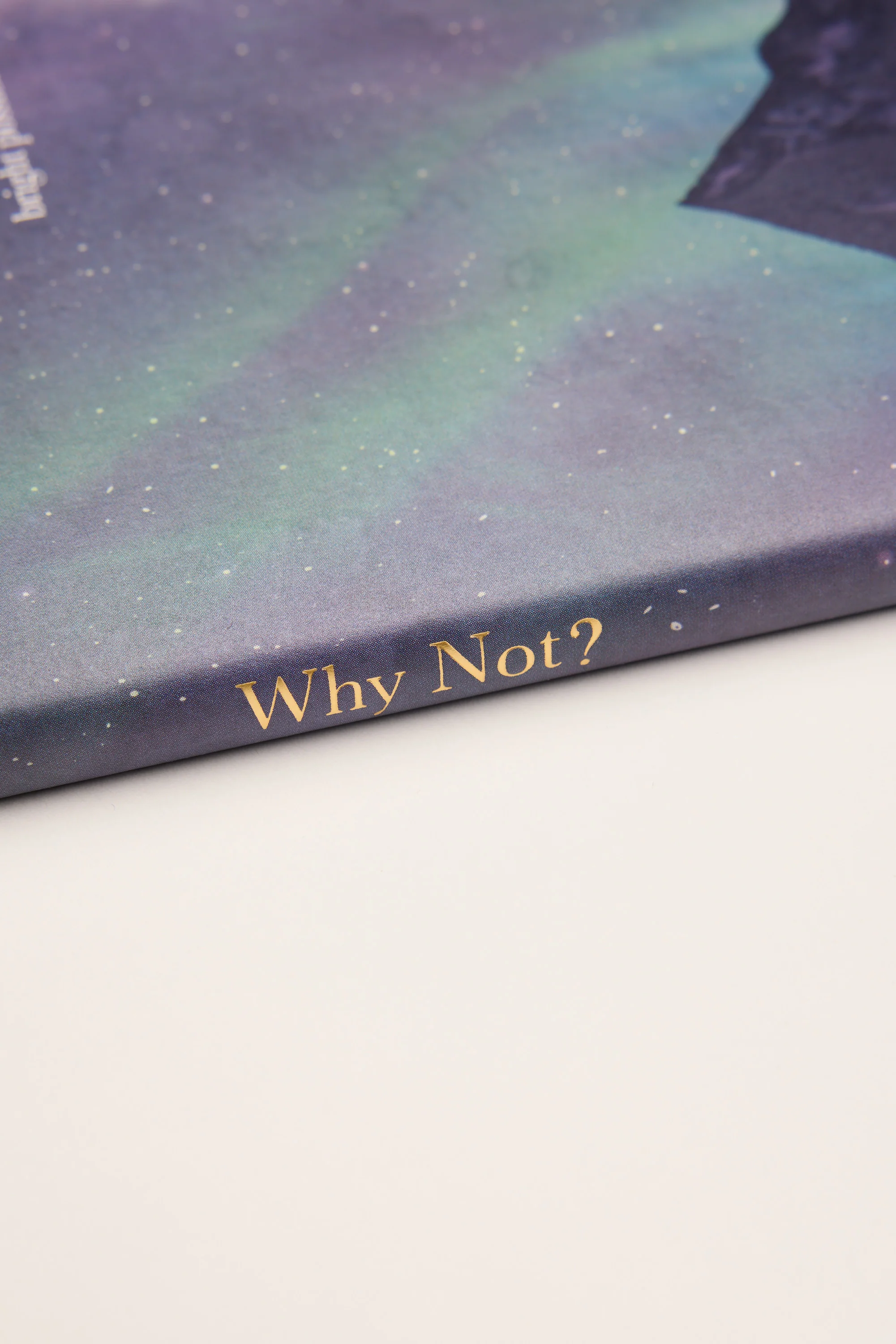 Why Not Book - Image 3