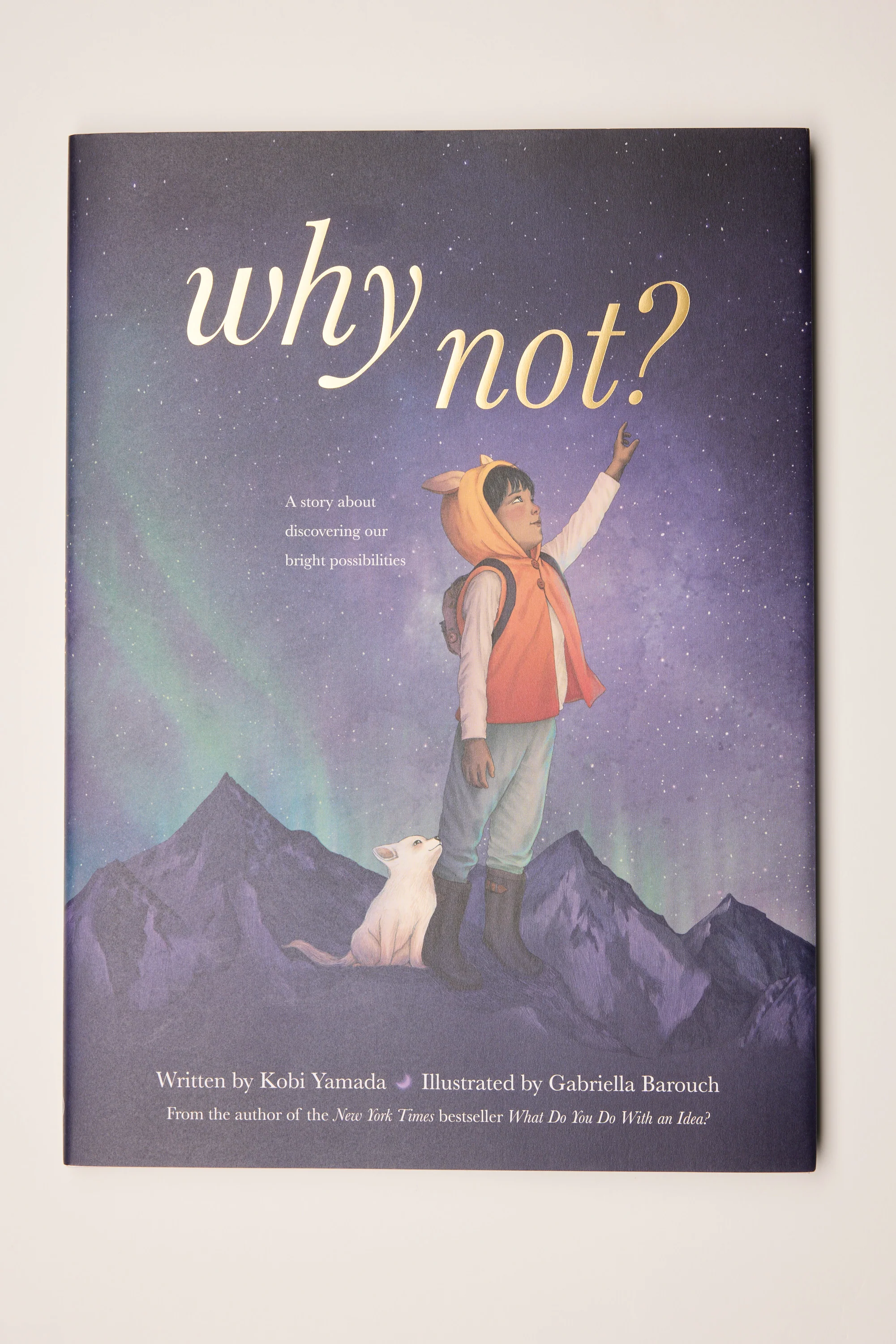 Why Not Book - Image 4
